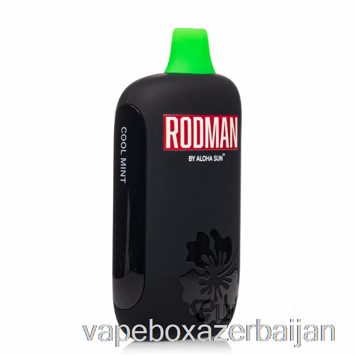 Vape Smoke RODMAN 9100 Disposable Cool Mint